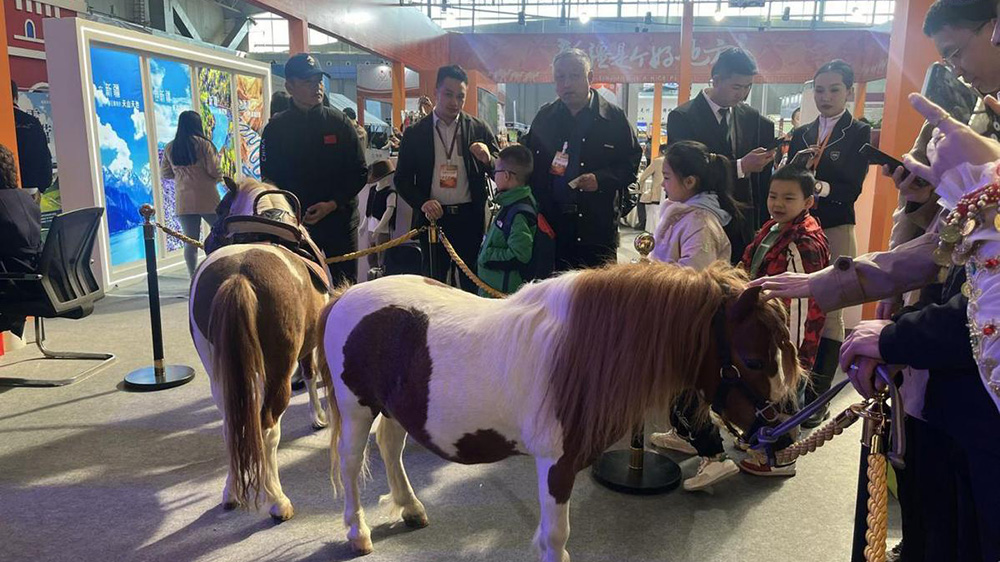 新疆野馬國(guó)際展區(qū)“萌馬”互動(dòng).jpg