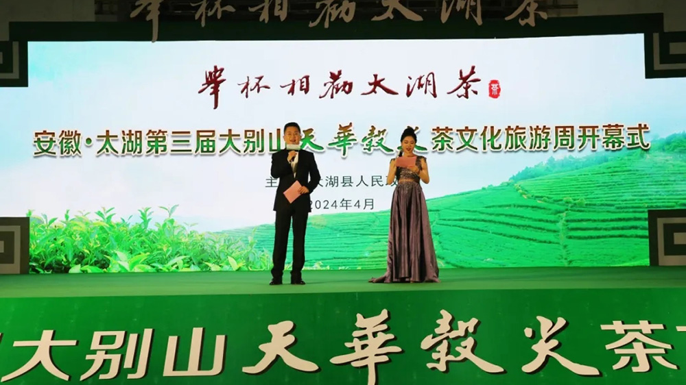 太湖縣第三屆大別山天華谷尖茶文化旅游周現(xiàn)場(chǎng).jpg