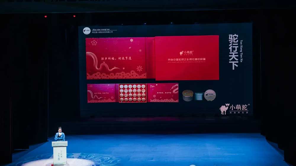 2025旅行商大會暨文化旅游資源推介洽談會現(xiàn)場推介.jpg